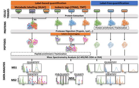 Large Scale Proteomics Proteotoul