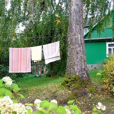Lithuanian Cottages — HELLO SANDWICH