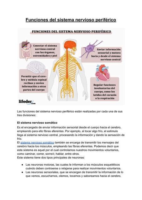 Sistema Nervioso Periférico Tania Romo uDocz