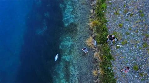 Catching Massive Fish In The Worlds Clearest Water Youtube