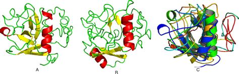 Prediction Of Three Dimensional Structure Of Nsp1 Protein By I Tasser