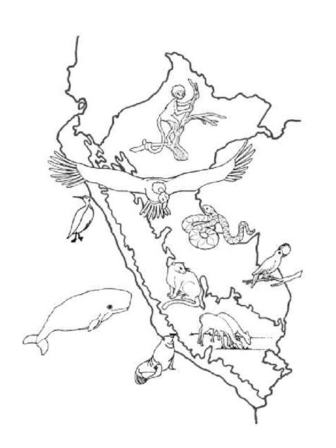 Mapa De La Regiones Del Peru Para Colorear Pdf