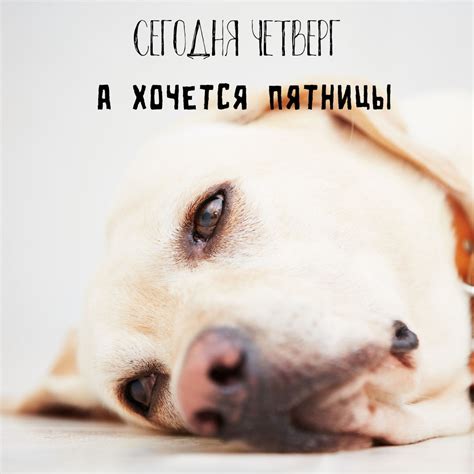 Открытки с четвергом: финишная прямая к выходным - поделитесь позитивом ...