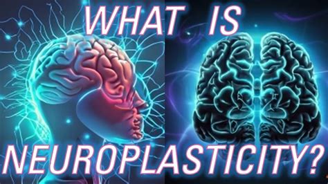 What Is Neuroplasticity Youtube