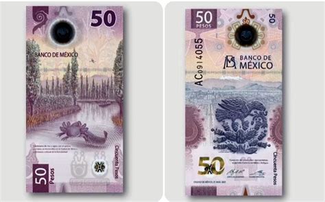 Billete de 50 pesos se vende en 50 000 Características y valor