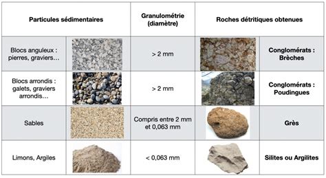 TP TD 2 La fabrication des roches sédimentaires Vieterre