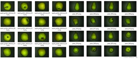 水果分类 Halcon详细说明基于halcon的苹果分类研究 Csdn博客