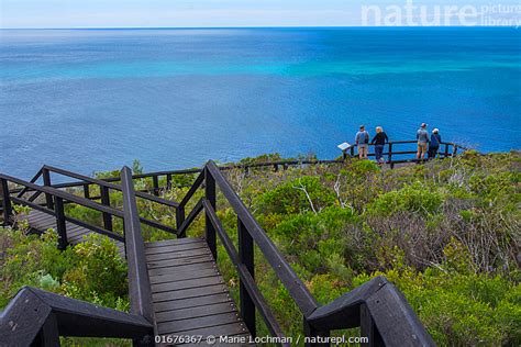 Stock Photo Of Whale Watching Platform Leeuwin Naturaliste National