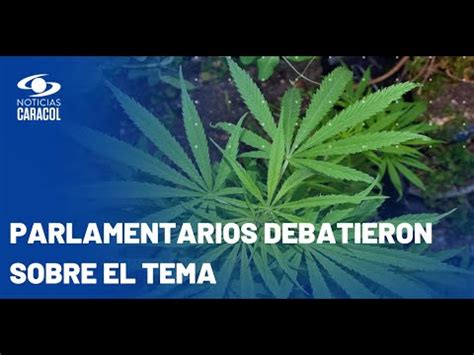 Qu Repercusiones Tiene El Archivo Del Proyecto Sobre La Marihuana