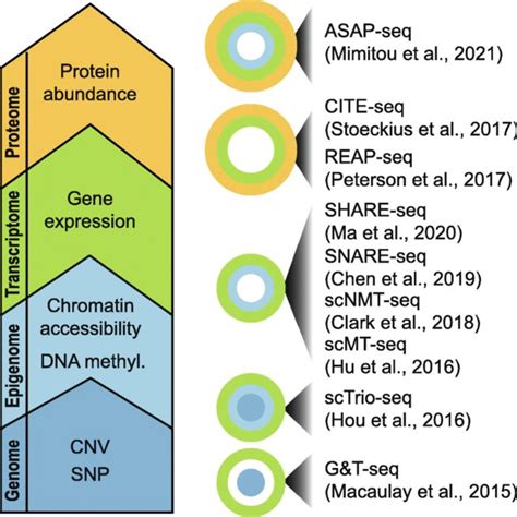 A Schematic Summary Of Some Recent Multimodal Single Cell Omics