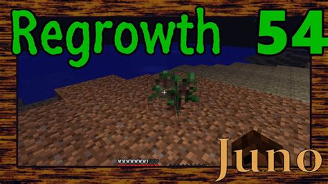 Minecraft Regrowth The Great Greatwood Sapling Youtube