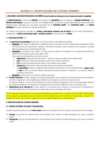 Bloque Iii Pdf