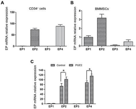 Expression Of Ep Mrna In Human Cd34 Cells And Bmmscs A The Download Scientific Diagram