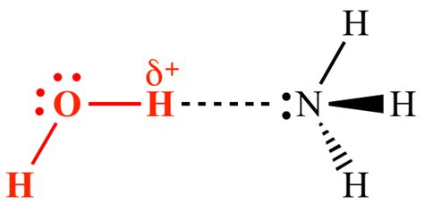 Illustrated Glossary Of Organic Chemistry Hydrogen Bond Donor