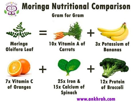 Ankh Rah S Healthy Living Guide 9 Beauty Benefits Of Moringa Oil For