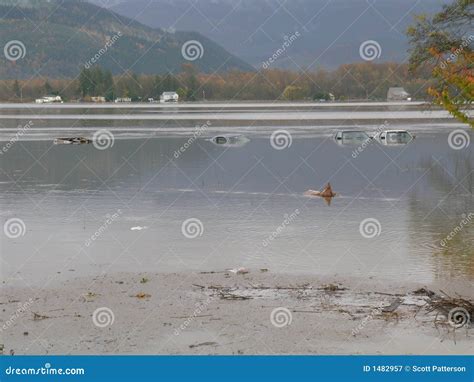 Washington State Flooding editorial photography. Image of destruction ...