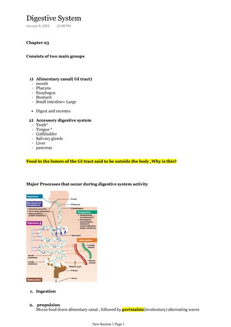 ANP 1107 Lecture 2 Chapter 23 Consists Of Two Main Groups 1