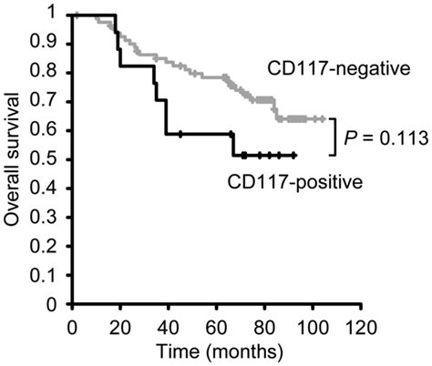 CD117 Expression Is A Predictive Marker For Poor Prognosis In Patients