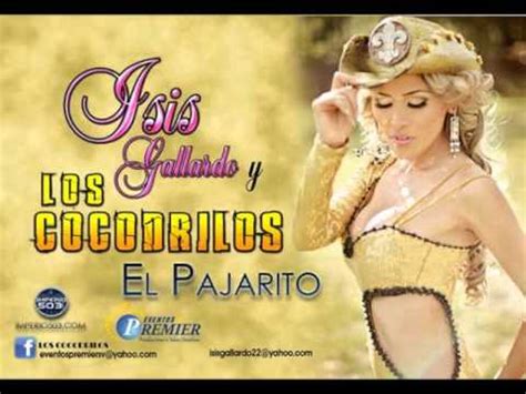 Isis Gallardo Y Los Cocodrilos El Pajarito Youtube