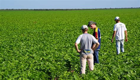 Agronomía ¿qué Es Objetivos Y Ramas De La Agronomía