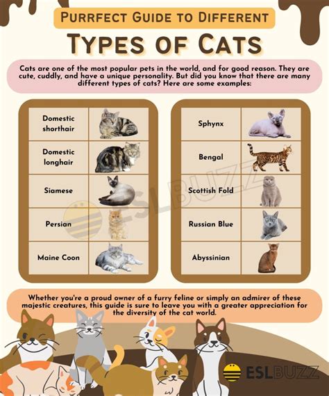 Cat Species Chart