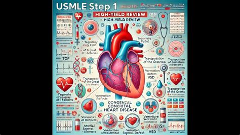 Congenital Heart Disease USMLE STEP 1 High YIELD CARDIOLOGY YouTube