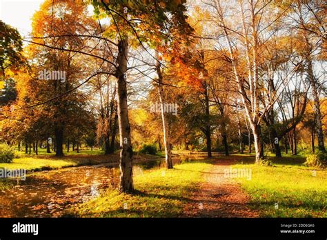 Autumn In Skopje City Park Stock Photo Alamy