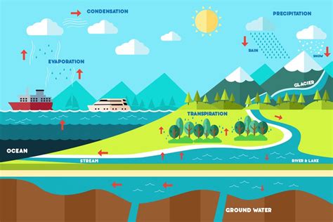 Hydrosphere Vocabulary Diagram | Quizlet