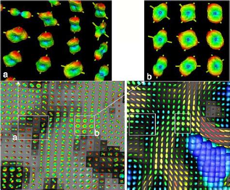 Mapping Neuronal Fiber Crossings In The Human Brain