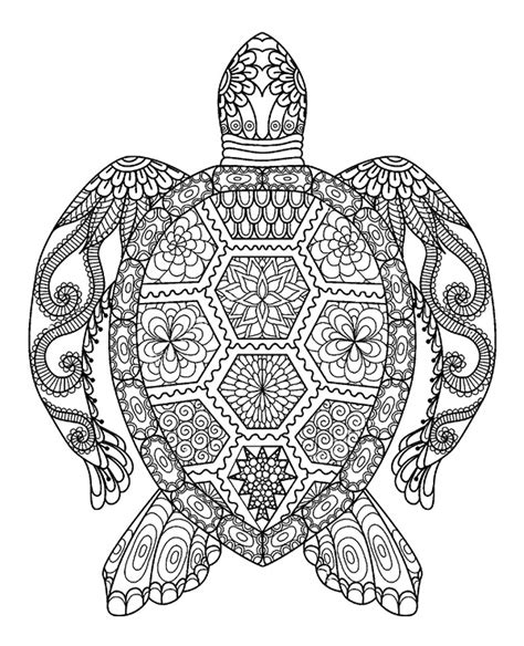 Tortoise Coloring Pages