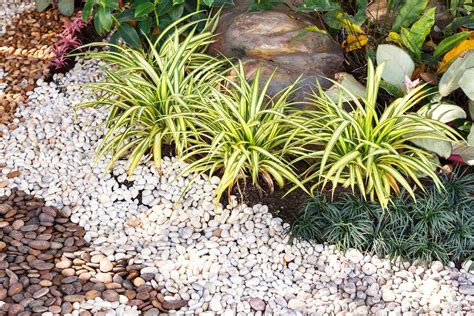 Gravel Garden Ideas Ways To Garden With Gravel In The Landscape