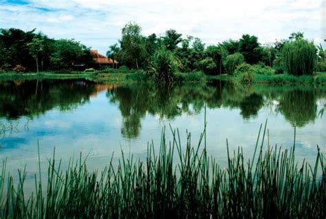 Paya Indah Wetlands Malaysia Travel Guide