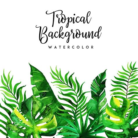 Tropical Leaves Watercolor Vector Hd PNG Images Watercolor Tropical