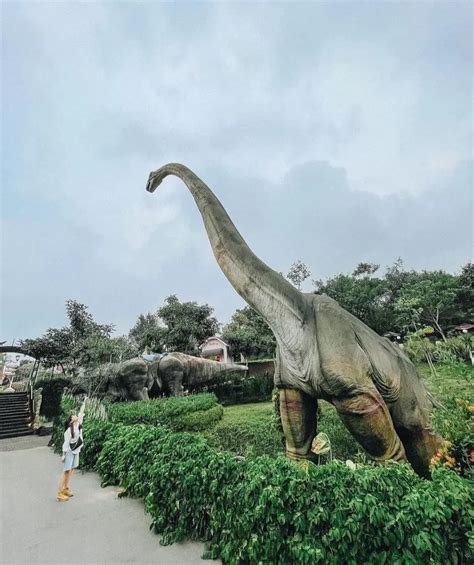 Ayo Berlibur 4 Potret Keindahan Dino Park Wisata Instagramable Di