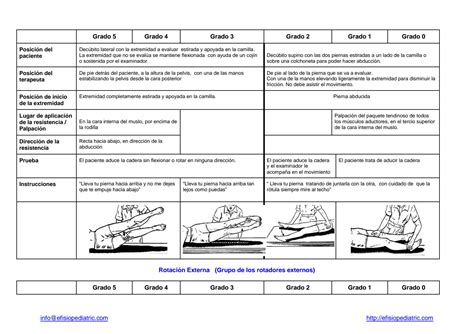 SOLUTION Pruebas De Valoraci N De La Fuerza Muscular Studypool