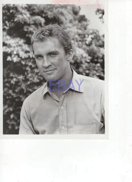 Roy Thinnes W A Sexy Look The Long Hot Summer Vintage Photo