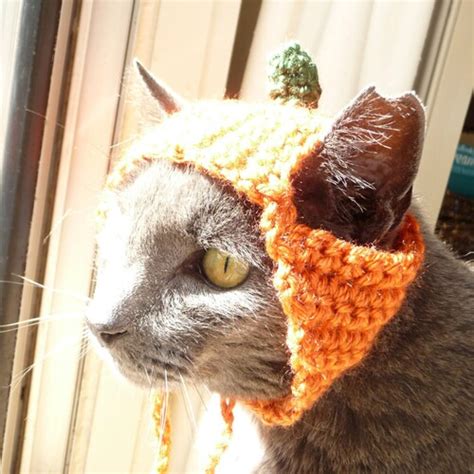 Cat Hat Crochet Pattern Thanksgiving Pumpkin Cat Costume Hats Etsy