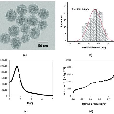 MSN Physicochemical Characterization A TEM Micrograph B Particle