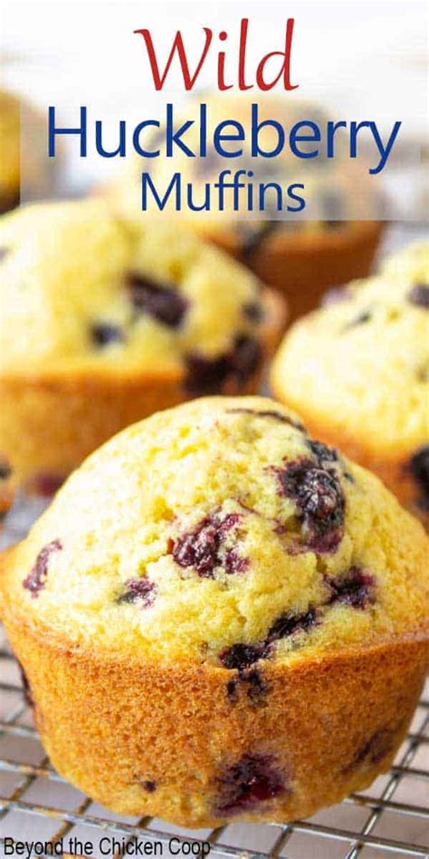 Huckleberry Muffins - Beyond The Chicken Coop