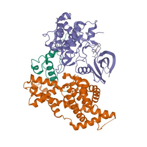 RCSB PDB 7B5O Cryo EM Structure Of The Human CAK Bound To ICEC0942