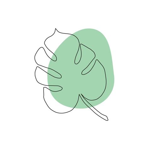 Vector Dibujado A Mano Doodle Verde Hoja De Monstera Vector Premium