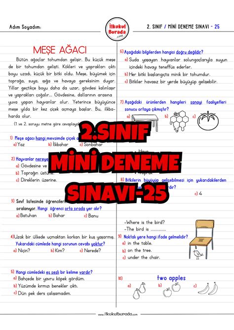 2 Sınıf Haftalık Mini Deneme Sınavı 25 İlkokul Burada