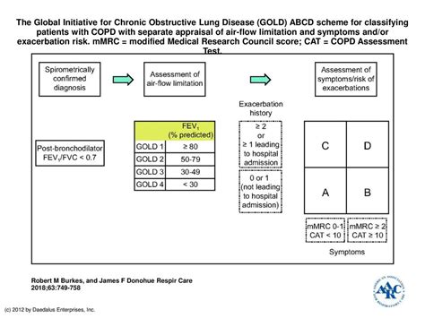 The Global Initiative For Chronic Obstructive Lung Disease Gold Abcd Scheme For Classifying