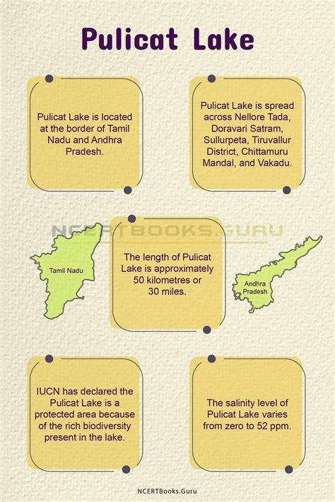 Pulicat Lake History, Map, System, Pollution and Importance - NCERT Books