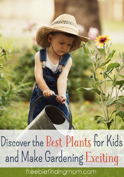 Discover The Best Plants For Kids And Make Gardening Exciting