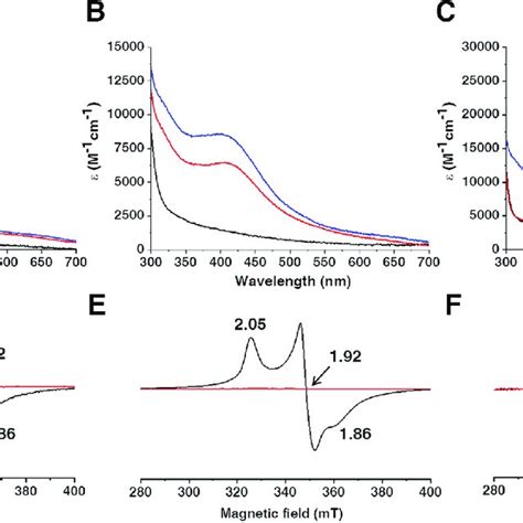 NUBP1 Binds 4Fe4S 2 Clusters At Both N Terminal And C Terminal