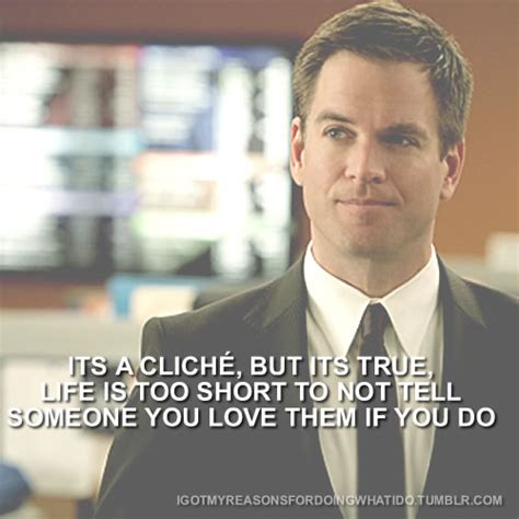 Dinozzo Ncis Quotes. QuotesGram