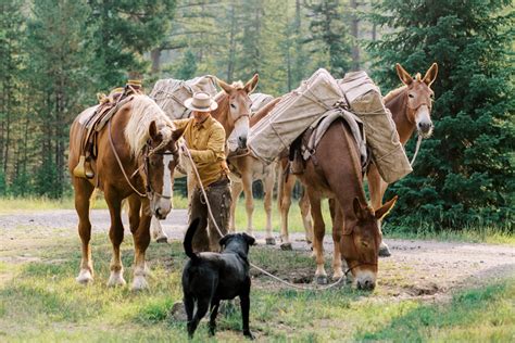 Chris Eyer The Art Of Mule Packing Bianchi Journal