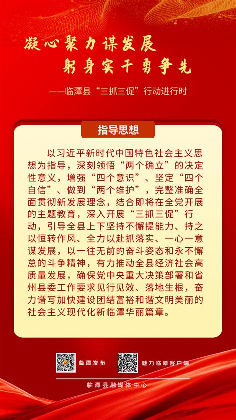 三抓三促”行动进行时】5张海报带你了解临潭县“三抓三促”行动方案审核王振彩霞