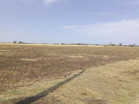 Agricultural Land Acre For Sale In Kolar Road Bhopal Rei